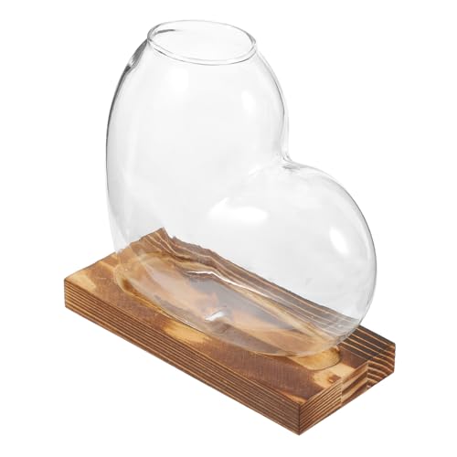 TINEASUR hydroponische Vase Tischvase Behältertank Vase Rahmenvase Hydrokulturvase Hydroponische Blumenvase Pflanzenvase für den Innenbereich Pflanzensockel aus Glas hölzern Transparent von TINEASUR