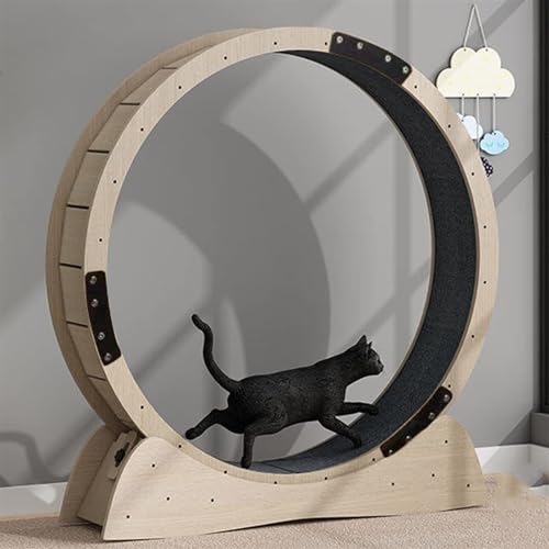 Cat Runway,Cat Running Wheel,Pet Toy,Large-Sized cat Wheel,Katzenlaufrad Großes Laufrad für Katzen 85/100/120cm,Natürliche Katzenrad aus Massivholz für Drinnen Katzen,Sicherheits Katzen Laufrad(Size:D von TINGBBAO