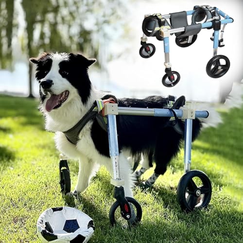 Hunderollstuhl, Rollstuhl für große Hunde, 4 Räder/2 Räder, Trolley zur Unterstützung der hinteren Gliedmaßen mittelgroßer Haustiere, XS/S/M/L/XL/XXL, Fahrradanhänger für verletzte Hunde mit Beinsc(S) von TINGBBAO