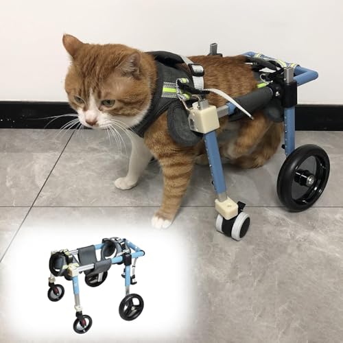 Hunderollstuhl Wheels Dog Wheelchair Für mittelgroße Hunde,Gehhilfe füR Behinderte Hunde,Hundehund Rollstuhl Hinterbein Rehabilitation für Behinderten, 2 Räde 4 Größe Wählen Sie,5-60 kg(Blue,M) von TINGBBAO