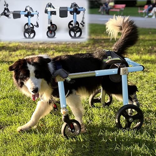 Hunderollstuhl mit 4 Rädern, Mobilitätswagen, Verstellbarer Hunderollstuhl, Rollstuhl mit Beinstütze für kleine, mittelgroße und große Hunde, Mobilitätshilfen für die Hinterbeine von Hunden(Blue,M) von TINGBBAO