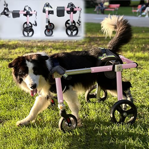 Hunderollstuhl mit 4 Rädern, Mobilitätswagen, Verstellbarer Hunderollstuhl, Rollstuhl mit Beinstütze für kleine, mittelgroße und große Hunde, Mobilitätshilfen für die Hinterbeine von Hunden(Pink,L) von TINGBBAO