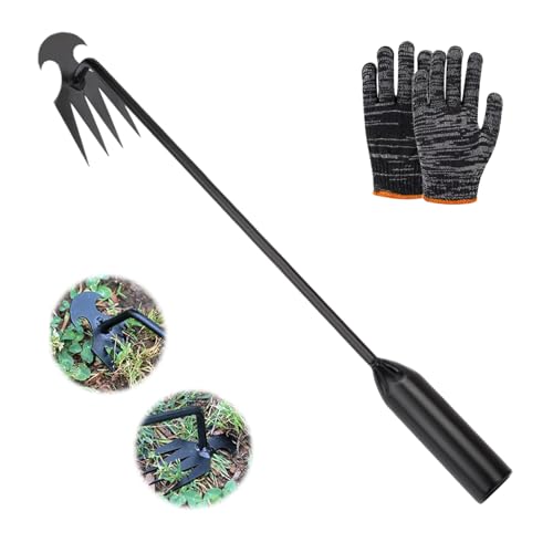 TINGTING Geräte für Unkraut Entfernen, 40 cm Unkraut Entferner Gerät, Unkrautjäter mit Stiel und Handschuhe Gartenarbeit Hand Unkrautstecher Gartenwerkzeug Unkrautstecher von TINGTING