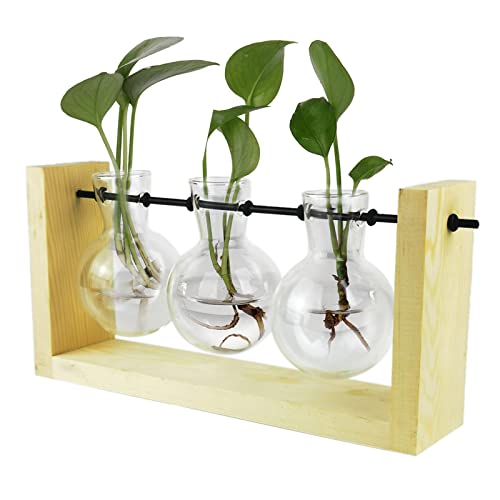 Pflanzenterrarium mit Holzständer, Tisch-Anzuchtstation, Pflanzgefäß, Vase, Glas, Hydrokultur-Pflanzgefäße, Luftpflanzgefäß, Blumenzwiebelvase, Glas mit 3 Knospen-Flasche für(Natur) von TITA-DONG