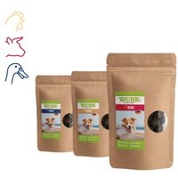 Tjure Hund Snack Box Standard von TJURE