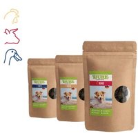 Tjure Hund Snack Box Standard Tjure Hund Snack Box Standard von TJURE