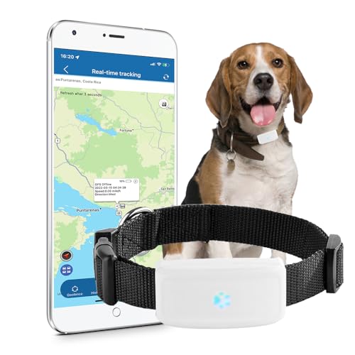 TKMARS Hunde GPS Tracker inklusive Halsband, weltweites Echtzeit Live Ortungsgerät, Geo-Zaun und Verlaufsroute in APP (ohne ABO), wasserdicht (IP67) von TKMARS