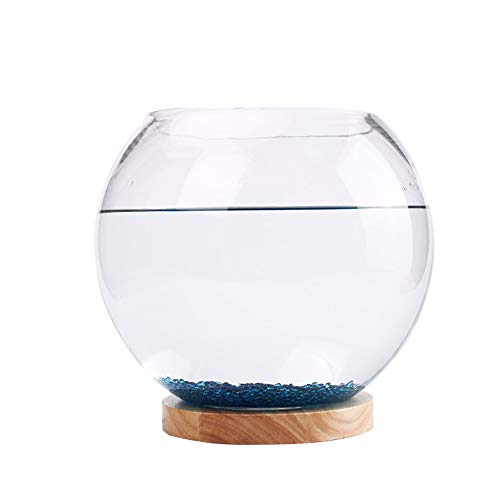 TLTDSMY Kreatives Wohnzimmer kleines Desktop Aquarium Glas rund Fisch Tank Nachtlicht Mini Aquarium Dekoration von TLTDSMY