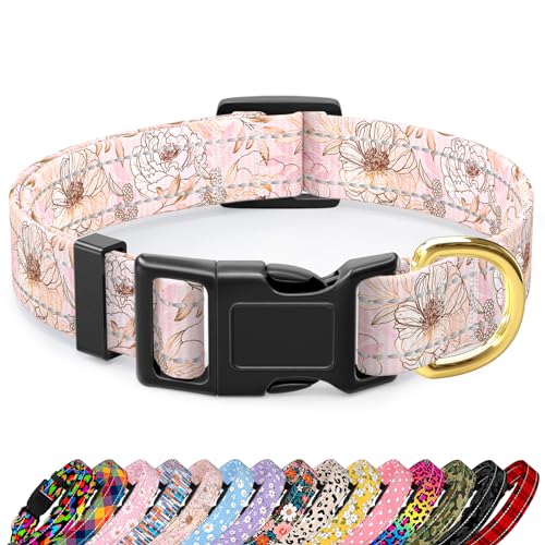 TMOODEL Reflektierendes Hundehalsband, niedliches Blumen-Thema, Hundehalsband für kleine Hunde, weiches Nylon, Welpenhalsband für Jungen und Mädchen, Hündinnen, verstellbar, strapazierfähig, mit von TMOODEL