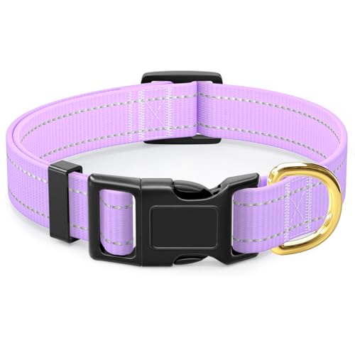 TMOODEL Reflektierendes Hundehalsband für extra kleine Hunde und Katzen, niedlich, verstellbar, strapazierfähiges Nylon, Welpenhalsbänder für Jungen und Mädchen, weiches Haustierzubehör mit von TMOODEL