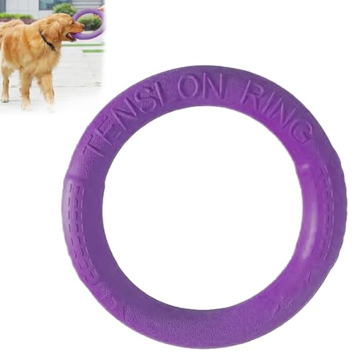 Hunde Fitness Ring,Hundebiss-Ring,Hunde Frisbee,Hundefitness Ring,Beissring Hunde, Hundespielzeug Ring, Hunde Flugscheibe Spielzeug,Beissring für Hunde,Geeignet für kleine und mittlere Hunde,Lila von TMRBBesty