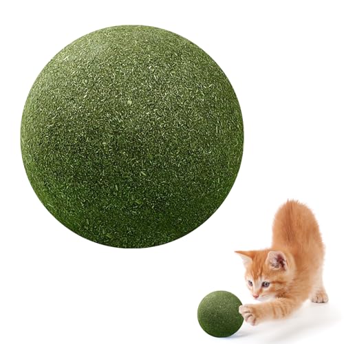 TNSLAND Katzenminze Ball Katze Minze Spielzeugball, Katzenkugel Spielzeugkatze Minzkugel, Riesiger Katzenminze Bälle, Leckbares, Riesiger-Kugel-Super-Großes Katzenminzen-Spielzeug von TNSLAND