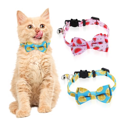 TOBBOMEY 2 Stück Obst Haustierhalsband Katzenhalsband Breakaway Katzenhalsband Für Mädchen Katzen Kleines Katzenhalsband Kätzchenhalsband Junge Kätzchenhalsband Für Mädchen von TOBBOMEY