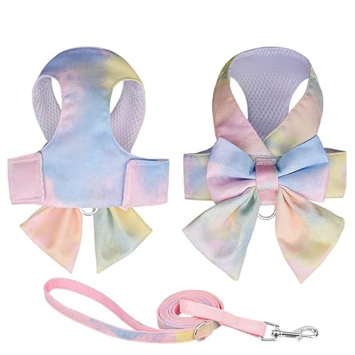 TOBILE Hundegeschirr Nette Mode Gradient Farbe Prinzessin Kleid Haustier Geschirr Kleine Und Mittlere Haustier Leine Set von TOBILE