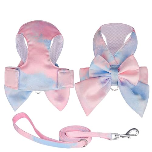 TOBILE Hundegeschirr Nette Mode Gradient Farbe Prinzessin Kleid Haustier Geschirr Kleine Und Mittlere Haustier Leine Set von TOBILE