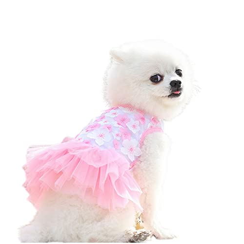 TOBILE Hundekleidung Hundekleidung Haustiere Prinzessin Kleid Baumwolle Pfirsichblüte Stein für kleine Hunde Dressing Haustier Kleidung Lieferanten - Rosa, L von TOBILE