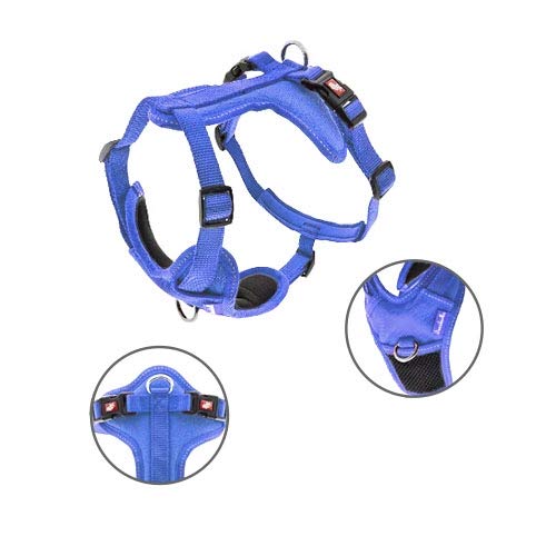 TODOPETS Arnes Cesare M, 2 cm, 40-62 cm, Blau von TODOPETS