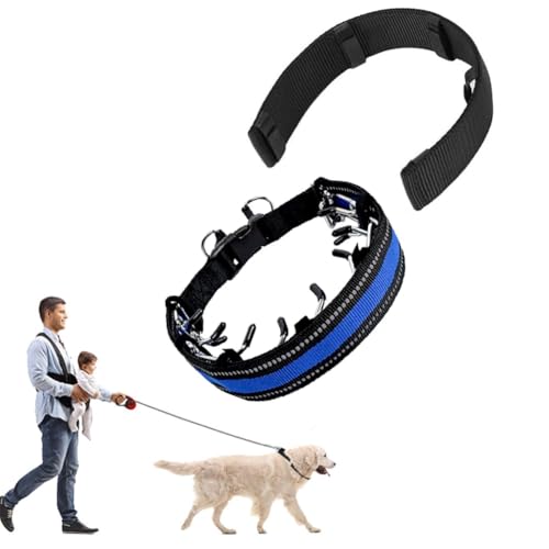 TOEECY Hundehalsband Verstellbare Reflektierende Hunde Halsband mit Sicherheitsschnalle für das Training Atmungsaktives Nylon Halsband für Kleine Mittlere Große Hunde von TOEECY