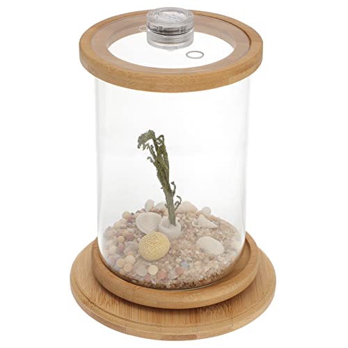 TOGEVAL 1 Satz Desktop Micro View Aquarium Desktop-Aquarium-Kit Mini-Bürobedarfsset Terrarium bürodekorationen Night Light kunstpflanze Desktop-Versorgung transparente Fischschale Green von TOGEVAL