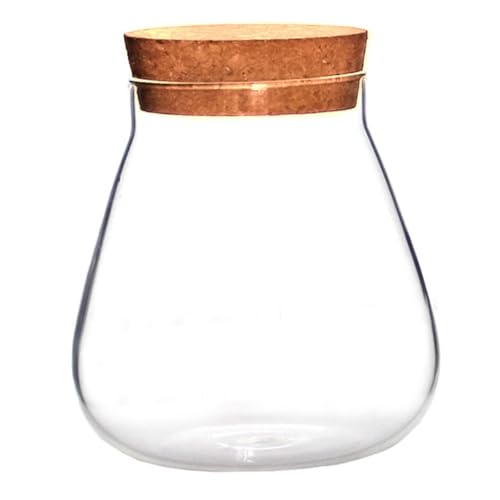 TOGEVAL 1 Stück Flasche Aus Korkglas Wandblumenvase Selbstbewässernder Topf Snackbehälter Mini-Terrarium Mit Rundem Hygrometer Künstliche Pflanzen Saftig Tank Flaschenverschluss Kork Brown von TOGEVAL