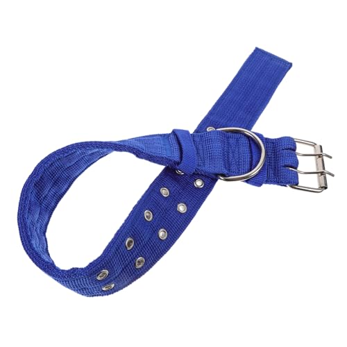 TOGEVAL 1stk Schafshalsband Ziegenzubehör Abreiß Für Katzen Nackenversorgung Für Hund Für Hunde Großer Rassen Halsschmuck Für Haustiere Kuhhalsband Vieh Legierung Blue von TOGEVAL