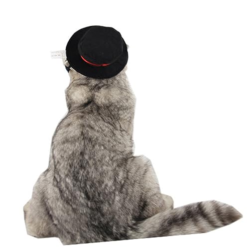 TOGEVAL Hundemütze Welpen-Outfits Haustier tragen Halloween-Zylinder Weihnachts-Zylinder Haustiermode pet Supplies hundefressnäpfe Haustierkleidung Weihnachtskostüm Schwarzer Hut Black von TOGEVAL