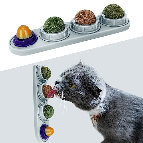 TOHDNC Katzenminze Ball für Katzenwand, 4 Stück Katzenminze Spielzeug, Essbare Kätzchen Spielzeug, Extra Katzen Energieball für Katzen lecken, gesunde Kätzchen Zähne Reinigung, Zahn Kauspielzeug von TOHDNC