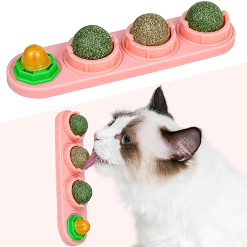 TOHDNC Katzenminze Ball für Katzenwand, 4 Stück Katzenminze Spielzeug, Essbare Kätzchen Spielzeug, Extra Katzen Energieball für Katzen lecken, gesunde Kätzchen Zähne Reinigung, Zahn Kauspielzeug von TOHDNC