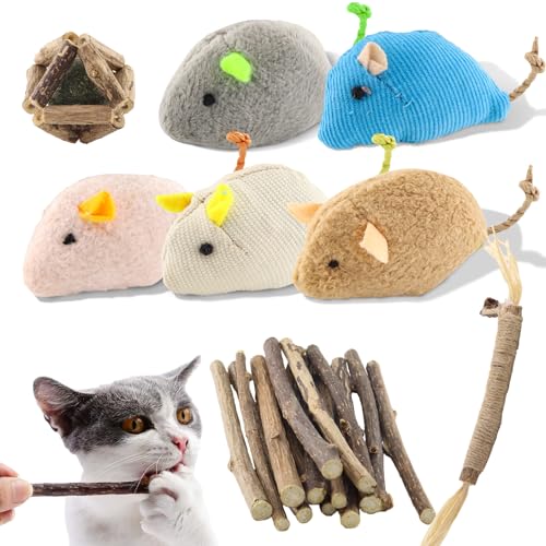 TOKSEO 22 Stück Katzenminze Spielzeug Set, Matatabi Stick Katze, Plüsch Maus Kitten Spielzeug Katzenspielzeug mit Katzenminze, Katzenminze Stick, Naturholz Rollen Ball von TOKSEO