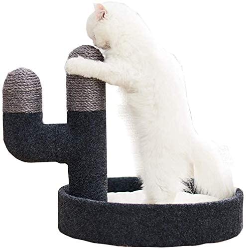 TONPOP Katzenklettergerüst Katzenklettergerüst Kaktusform Rund Katzenhaus Kratzbaum Spielzeug Komfortables Katzenaktivitätszentrum Haustierbettwäsche (Color : White) (Color : White) (Weiß von Tonpop