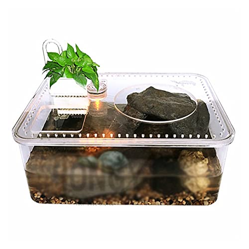 Schildkrötentank, 1 Stück, Kunststoff, transparent, für Reptilienzucht, Futterbox, großes Fassungsvermögen, Aquarium, Lebensraum, Wanne, Schildkrötenpanzerplattform von TONZN
