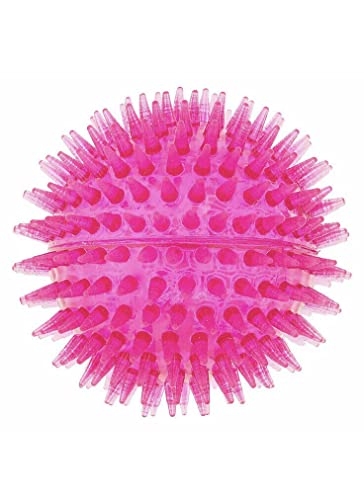 1- Small, Medium Size Dogs Spiky Pink Hundespielzeug mit Quietschelement, 7,6 cm, Rosa von TOP PAW