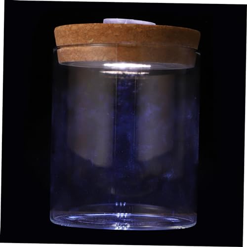 TOPBATHY 1Stk Landschaftsflasche Süßigkeitenglas Fischflasche Glasflaschen Büro-Schreibtisch-Dekor Aquarium Flasche aus Borosilikatglas Landschaftsbastelflasche Zylindrisch Container Vase von TOPBATHY