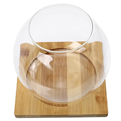 TOPBATHY Einmachgläser Fischschüssel mit Holztablett Goldfischschüssel Efeuschüssel Fischschale Vasen Glas Micro Landschaft Flasche Glas Mini Pflanzenbehälter Dekorationen Für Aquarien von TOPBATHY