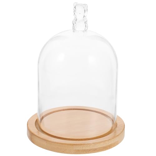 TOPBATHY Terrarium-Kit hochzeitsgeschenke Dessertkuppel Anlage Vase Hochzeitsdekorationen Blumenglasabdeckung Glaskuppel Glasflasche Kristallkugel Uhr aus Glas Vitrine Lichterketten Bambus von TOPBATHY