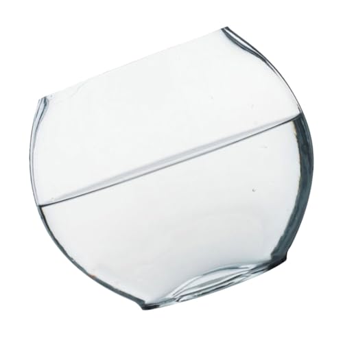 TOPBATHY Transparente Aquariumvase Fischzubehör Zartes Goldfischbecken Dekoratives Goldfischbecken Mikrolandschaft DIY Flasche Zartes Betta Tank Transparente Flasche Blumenvase von TOPBATHY