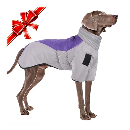 Warme Hundemäntel Wasserdichtes Upgrade Hundekleidung für Winter Kaltes Wetter Kuscheliger Hundemantel Hundejacke mit Geschirrschnalle & Sicherheitsreflexstreifen für mittel große Hunde, Lila 5XL von TOPSOSO