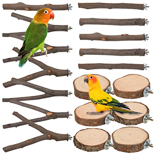 18 Stück Vogelstangen Ständer Spielzeug, Naturholz Papageienstange Ständer Vogelkäfig Äste Plattform Zubehör für Sittiche, Nymphensittiche, Conures, Aras, Finken, Liebesvögel von TORINALITAL