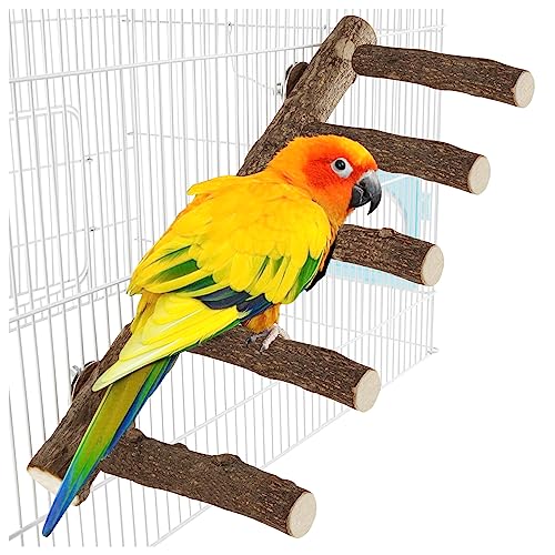 Papageienholzständer, 31 cm Länge, Papageien-Sitzstange für Käfig, natürliche Vogelleiter für kleine, mittelgroße Papageien, Sittiche, Nymphensittiche, Sittiche, Sittiche, Hamster von TORINALITAL