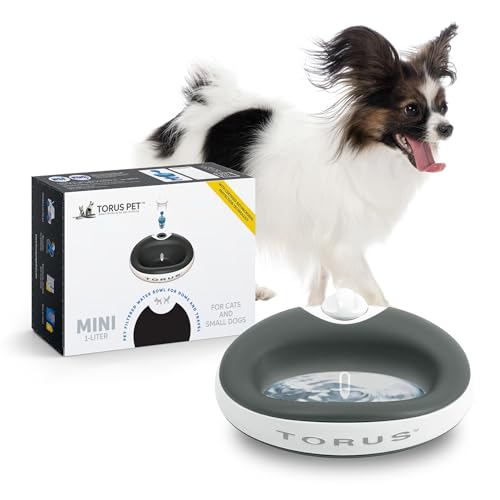 Torus Pet Mini Filtered Water Bowl (Charcoal) - 1 Liter – Home and Travel Bowl - Autofill - Portable - Antimicrobial - BPA Free - Cat - Small Dog von Heyrex