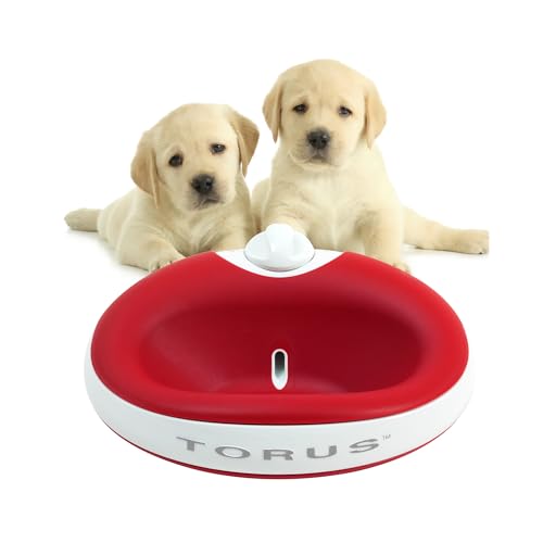 Torus Pet Mini Filtered Water Bowl (Red) - 1 Liter – Home and Travel Bowl - Autofill - Portable - Antimicrobial - BPA Free - Cat - Small Dog von Heyrex