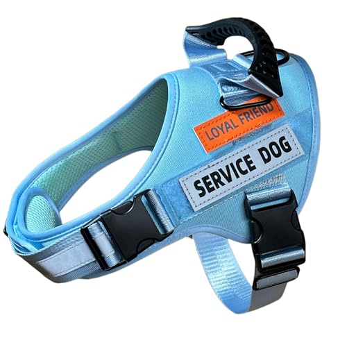 TOSEFES Hundegeschirr, Serviceweste mit 3 Leinenclips, emotionale Unterstützung, Hundeweste mit Klett-Patches, reflektierend, verstellbar, gepolstert, ideal für Spaziergänge und Training.(Ozeanblau, von TOSEFES