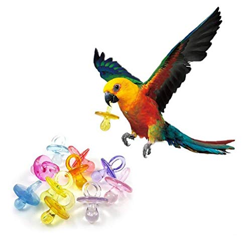 TOSSPER 50pcs Vogel Nippel-Spielzeug Bunte Weiche Vogel Chew Spielzeug Pet Dentitionspielzeug Parrot Biss Nippel Vögel Supplies Zubehör von TOSSPER