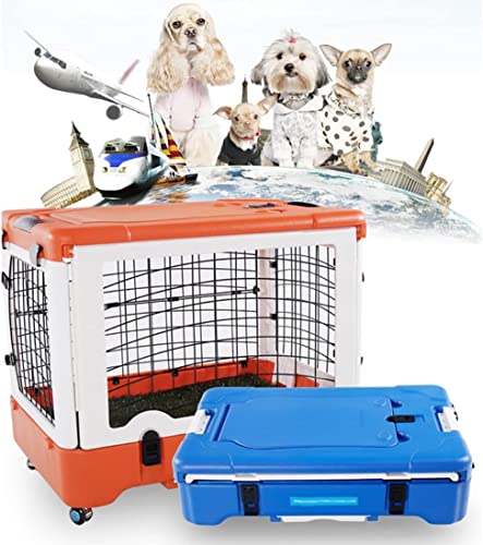 Hundebox aus Metall, Faltbarer Käfig aus orangefarbenem Metall, Upgrade mit kaufester Kunststoff-Bodenschale und Tragegriff, robuste Box, perfekt für Welpenreisen, Training, 35,8 x 27,9 x 24 von TOTLAC