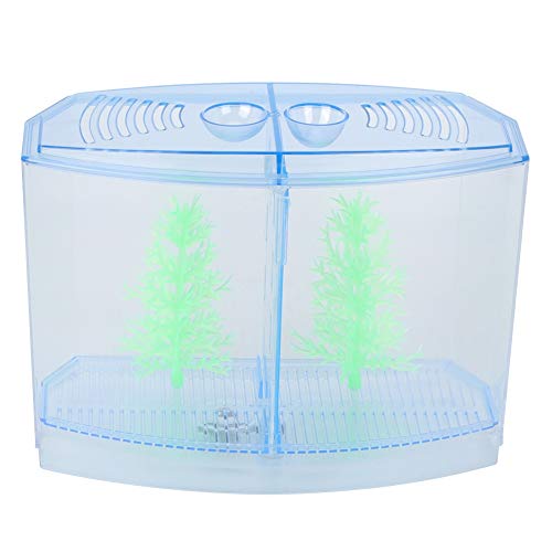 TOUISEDGI Mini Fish Tank Aquarium Transparent Water Plants Breeding Box Hatching Incubator for Home and Office (2) von TOUISEDGI