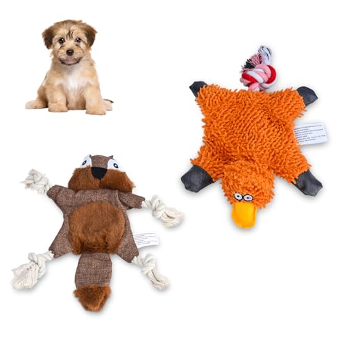 Quietschendes Hundespielzeug mit Knisterpapier klingend, BB Quietscher, kein gefülltes Hundekauspielzeug für Langeweile, Tauziehen, Ente Plüschtier für Welpen, S/M/L Hunde (Eichhörnchen) von TOWEAR