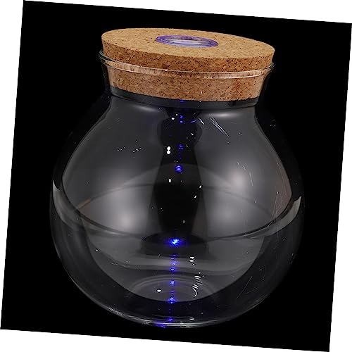 TOYANDONA Glas Pflanzen Terrarium ?kosystem Im Glas mit Kork LED DIY Flaschengarten Glasterrarium Blumentopf Tischdeko Glasvase Blumenvase Gew?chsh?uschen für Sukkulenten Moos Farn Kaktus Topf 13CM von TOYANDONA