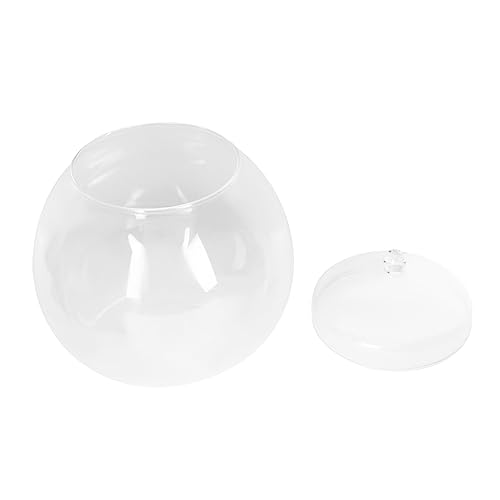 TOYANDONA 1 Satz Brucea ökologische Flasche Terrarium Moosglas Anlage drinnen im Freien Container Terrarienglas aus Glas Glasterrarien für Pflanzen Glastöpfe für Pflanzen Ökosphärenglas TOYANDONA 1 Satz Brucea ökologische Flasche Terrarium Moosglas Anlage drinnen im Freien Container Terrarienglas aus Glas Glasterrarien für Pflanzen Glastöpfe für Pflanzen Ökosphärenglas von TOYANDONA