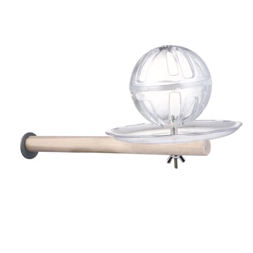 TOYANDONA 1 Satz Futtersuche drinnen Sittich-Futter Ball zur Nahrungssuche Toys für Papageien suchen eins Futtersystem für Sittiche Acryl Transparent TOYANDONA 1 Satz Futtersuche drinnen Sittich-Futter Ball zur Nahrungssuche Toys für Papageien suchen eins Futtersystem für Sittiche Acryl Transparent von TOYANDONA