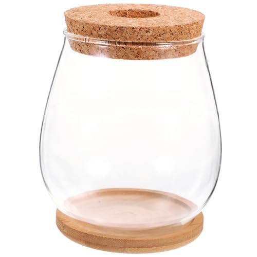 TOYANDONA 1 Satz Terrarium mit Unterlage Transparentes Mikrolandschaftsgefäß für Pflanzen Dekoration für Garten Abnehmbarer Abdeckung TOYANDONA 1 Satz Terrarium mit Unterlage Transparentes Mikrolandschaftsgefäß für Pflanzen Dekoration für Garten Abnehmbarer Abdeckung von TOYANDONA